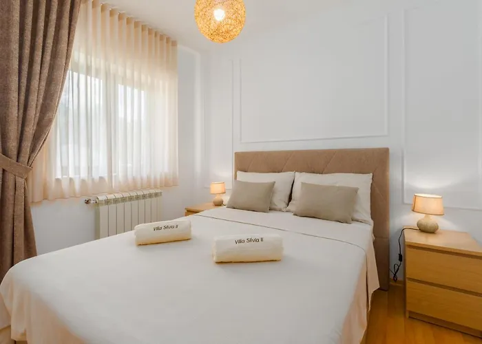 Lägenhet Mihael With Pool And Beautiful Garden Vižinada