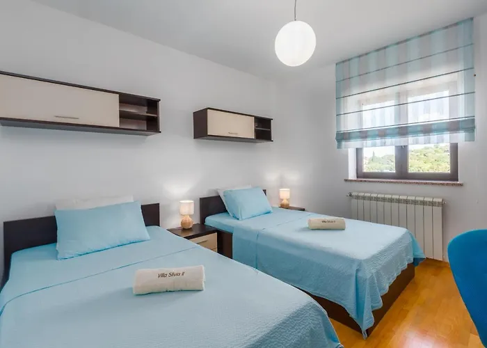 Mihael With Pool And Beautiful Garden Vižinada